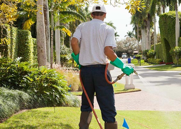 About South Plainfield NJ Pest Control Pros